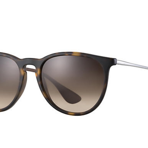 Ray-Ban Erika Classic Sunglasses